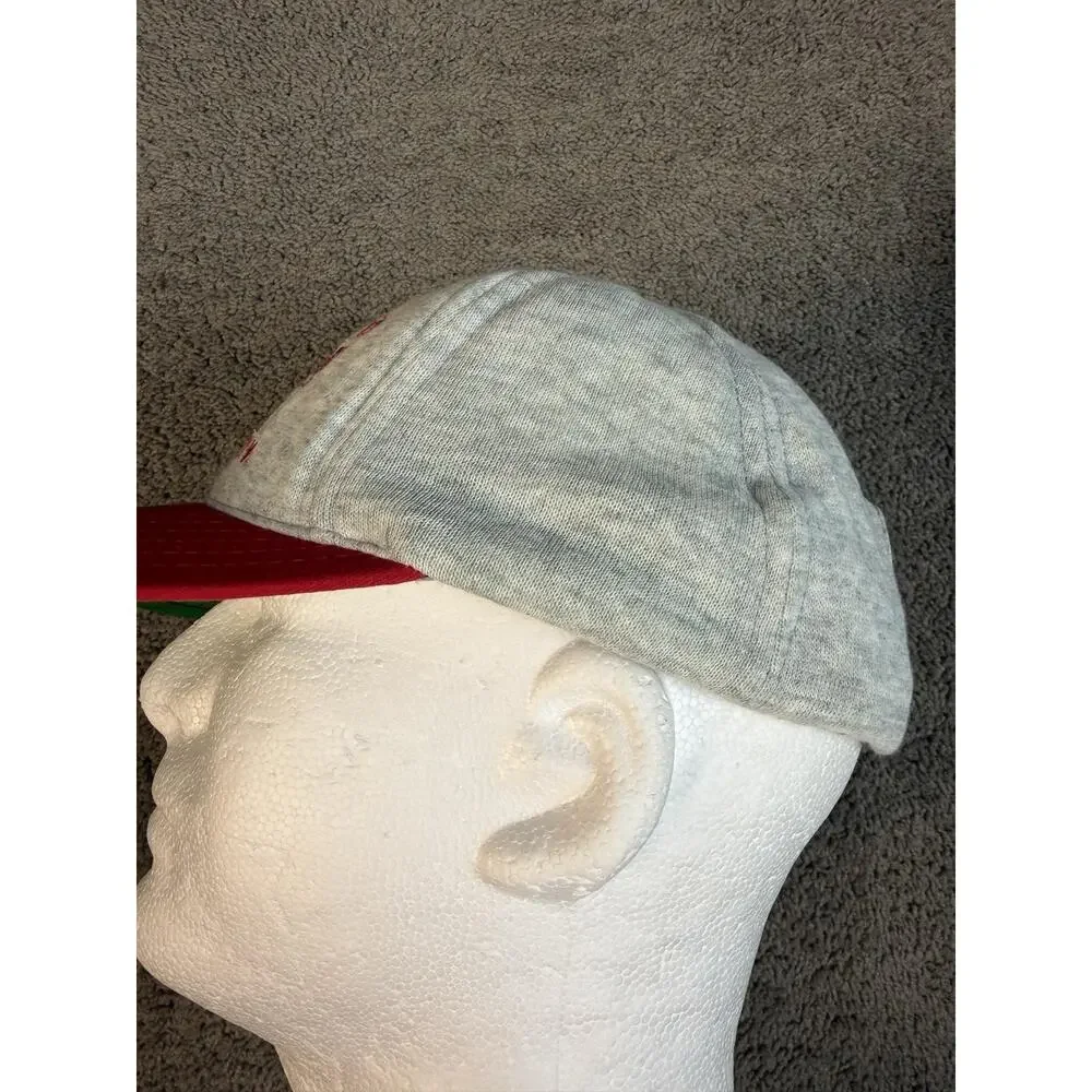 Ohio State Buckeyes Hat Mens One Size Gray Strap Back Football Team Apparel